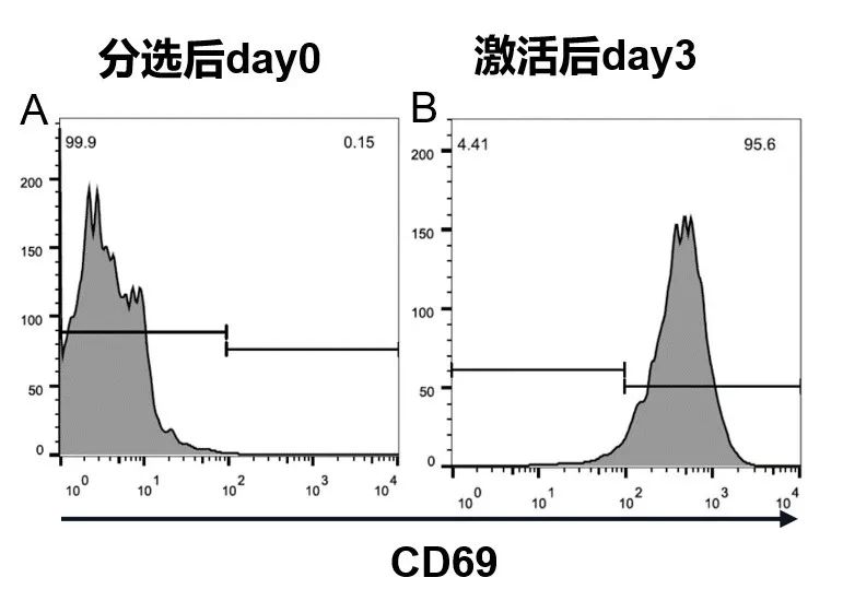 Marker激活情况.jpg