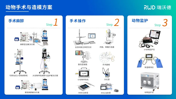 2-动物手术与造模.jpg