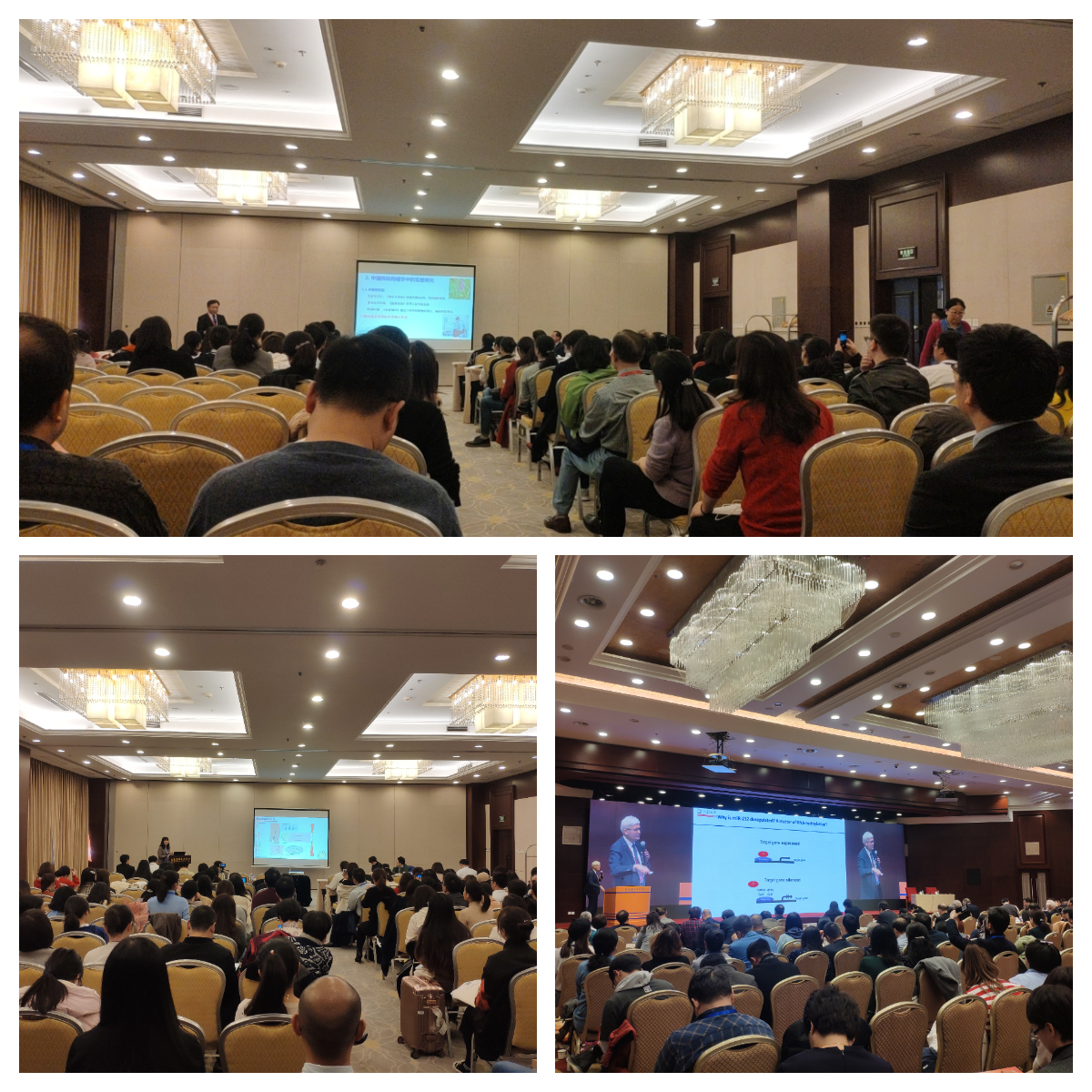 1-中国药理学会第十五次全国学术大会.jpg