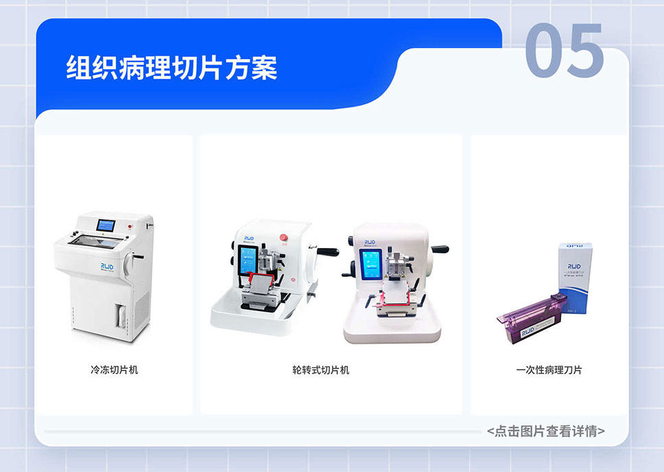 政府-贴息贷款-项目落地-A-官网_07.jpg