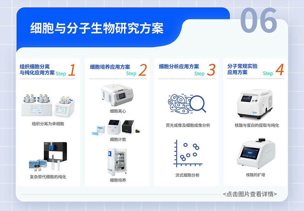 政府-贴息贷款-项目落地-A-官网_08.jpg