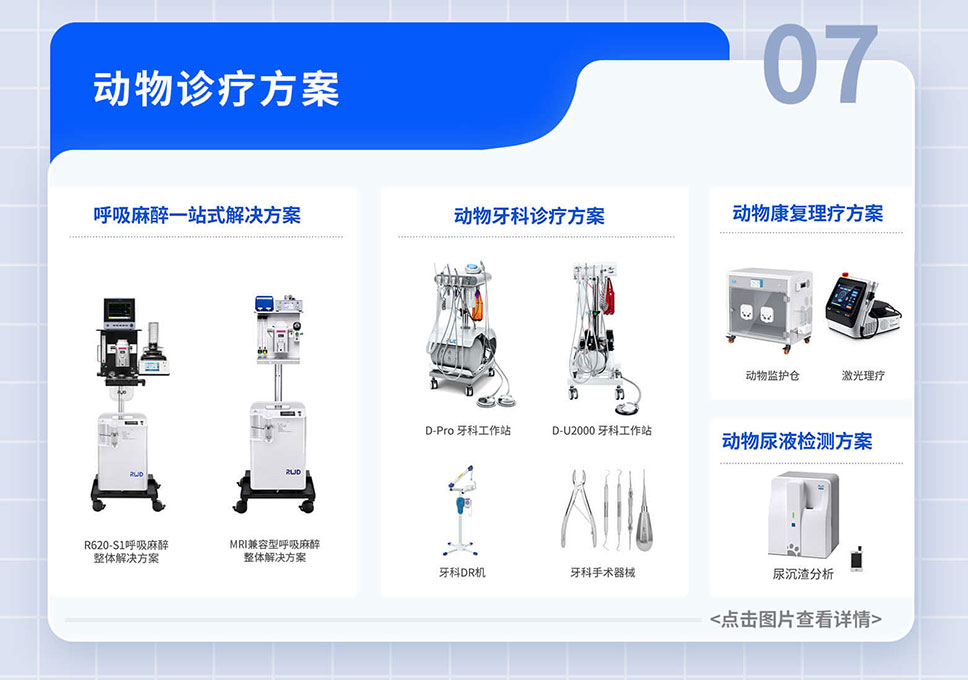 政府-贴息贷款-项目落地-A-官网_09.jpg