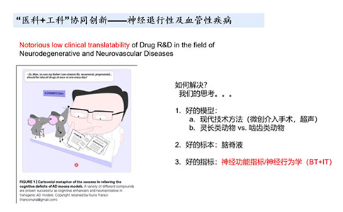 灵长类动物模型在神经退行性及血管性疾病研究中有哪些优势