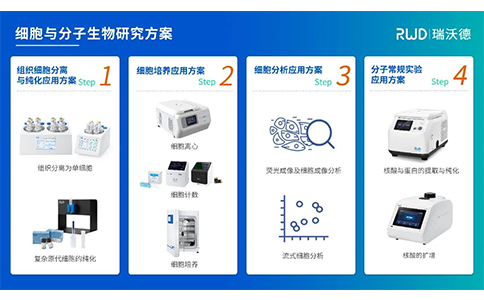 大发88细胞与分子生物研究方案