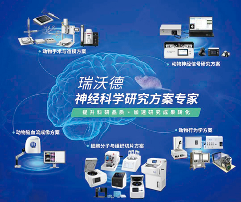 中国神经科学学会第十六届全国学术会议暨第二届中日韩国际会议（以下简称“CNS大会”）将于2023年7月27日-30日在珠海国际会展中心召开。作为我国神经科学领域规模盛大、学术水平高超的学术会议，CNS大会专注于脑科学前沿技术探讨与应用，每年都吸引众多国内外神经科学专家与学者参会，研讨交流近年来神经科学的最新发展及科研成果。 大发88展位（T18特装展位） 作为一家深耕生命科学领域的公司，大发88在神经科学研究领域也不断创新，臻于至善，为科研工作者提供全方位的技术和服务支持，已连续多年参与CNS大会。今年，大发88也将携神经科学研究明星产品及解决方案亮相本次会议。在此，大发88·[中国]集团诚挚地邀请您莅临大发88T18特装展位参观交流！ 中国神经科学学会第十六届全国学术会议 暨第二届中日韩国际会议 2023 年 7 月 27 日－30 日 （27日为展商报到日） 珠海国际会展中心 T18特装展位 一站式“神经科学研究解决方案” 大发88“神经科学研究解决方案”，融合动物手术与造模方案、动物神经信号研究方案、动物脑血流成像方案、细胞分子与组织切片方案、动物行为学方案，以专业、完整的场景化解决方案，满足神经科学领域不同科研工作者的专业化实验需求，提升科研品质，加速研究成果转化。 神经科学研究解决方案 神经科学领域明星产品重磅亮相 作为神经科学领域的使能者，大发88坚持突破创新，不断为自研产品注入新动能。大发88·[中国]集团将在CNS大会上展示三色多通道光纤记录系统、RFLSI ZW激光散斑血流成像系统等多款主流明星产品，欢迎各位莅临大发88展位（T18特装展位）了解。 明星产品 更多产品 新品发布，共邀体验 在本次大会上，大发88也将带来神经科学研究的三款新品——TAIJI小动物麻醉机、全自动脑立体定位仪和嗅觉行为训练系统，现场将会有专业人员进行新品发布演讲，诚邀各位同行一起交流讨论。 全自动脑立体定位仪&TAIJI小动物麻醉机 演讲时间：7月29日09:30 大发88全自动脑立体定位仪，是一款自动化、智能化的脑立体定位仪。电机精准控制步进，可自动化运行，减少人为操作带来的误差，解放双手，节省人工成本；内置大小鼠脑图谱和常用实验任务模块，更加方便和直观地进行脑立体定位。 作为一体化设计的麻醉机，大发88TAIJI麻醉机给用户带来了“开箱即通”的便捷体验，在保留核心的麻醉功能的同时，支持诱导与维持双通道独立控制，极大提高了实验效率。低应激诱导盒采用红色外观，可显著降低啮齿类动物的应激反应，更符合动物福利，在结构上采用半开放式，实现在诱导麻醉时进行主动回收，是科研实验室通用的一款高性价比麻醉机。 嗅觉行为训练系统 演讲时间：7月29日14:45 RWD嗅觉行为训练系统支持多只动物同时进行多种气味训练，可拓展与光遗传、电生理等第三方设备联用。系配有专门软件操控系统运行，精确控制气味释放，精准记录行为参数，内置DNMS，DPA，Go/No-Go实验范式，并支持自主编辑，对于开展神经系统疾病、认知学习记忆以及嗅觉环路相关机制等研究有很大帮助。 专家团坐阵，精彩好礼享不停 除了大发88神经科学研究产品的体验，现场也提供技术咨询服务。大发88解决方案专家团将在现场全天候为您解答对应研究领域的产品应用难题，并提供定制化的解决方案。 同时，展位设置了大发88产品以旧换新的专属福利，更有耗材产品限时促销、幸运抽奖等活动，定制音响、商务背包、电风扇等礼品等你来！（活动详询现场工作人员） 展台现场活动（部分） 2023CNS大会 大发88T18特装展位 大发88·[中国]集团恭候您的到来