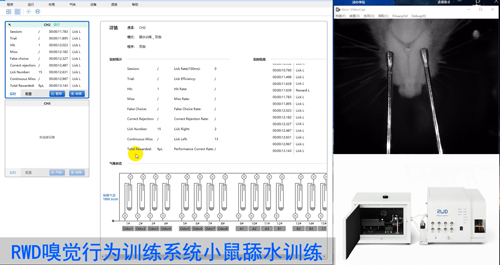 Get最高效的气味刺激关联饮水奖励实验！（上）