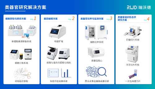 大发88邀您共赴2024第四届类器官大会—类器官与新药研发会议暨 ISoOR 2024 国际类器官高峰论坛