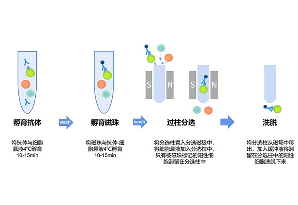 操作简单便捷